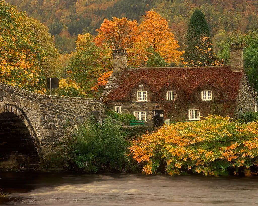 1280_1024_nature_scene_wallpaper-25.jpg
