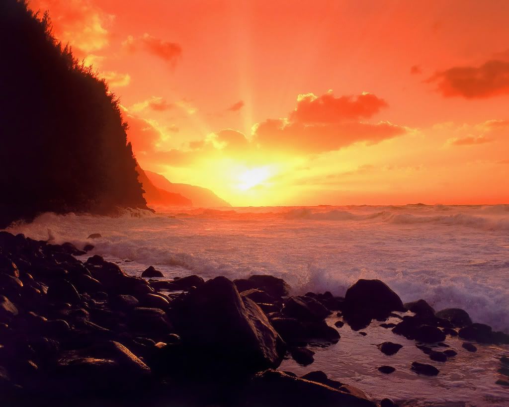 1280_1024_nature_scene_wallpaper-28.jpg