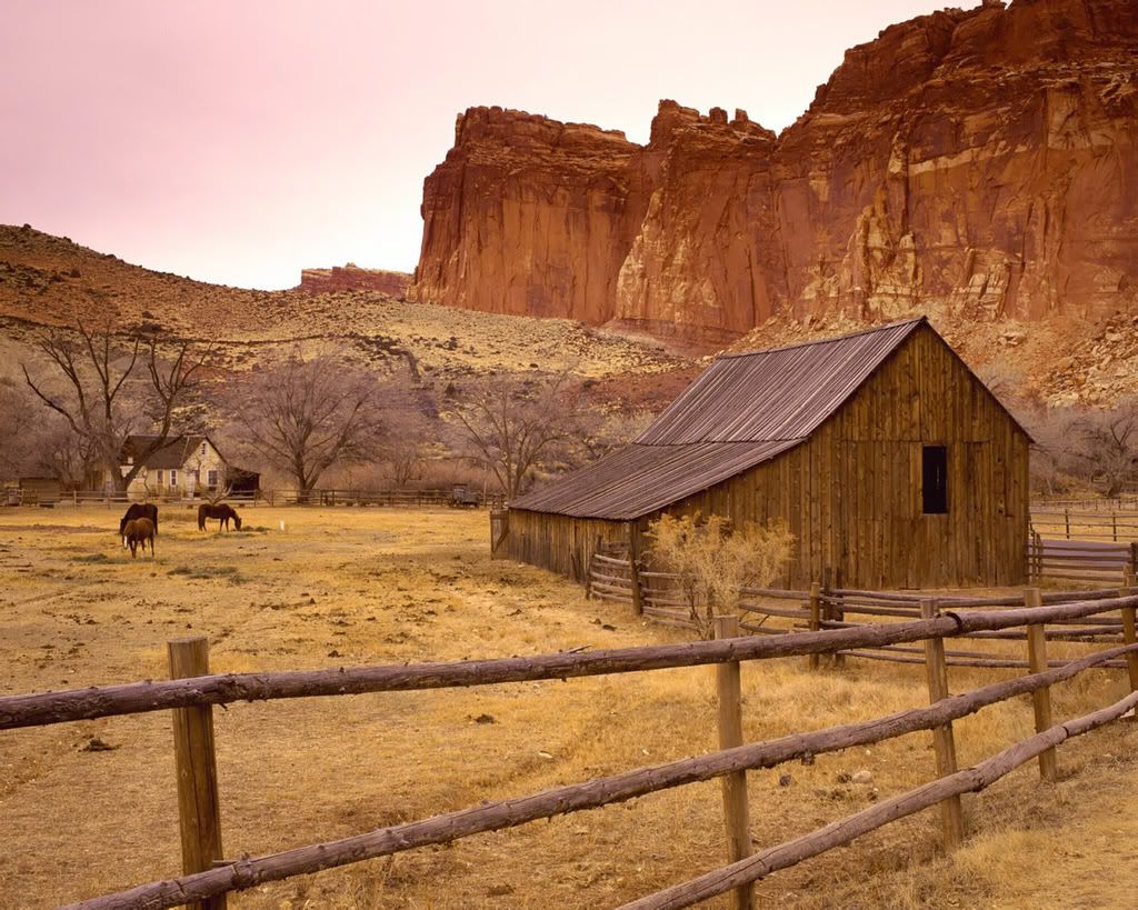 1280_1024_nature_scene_wallpaper-4.jpg