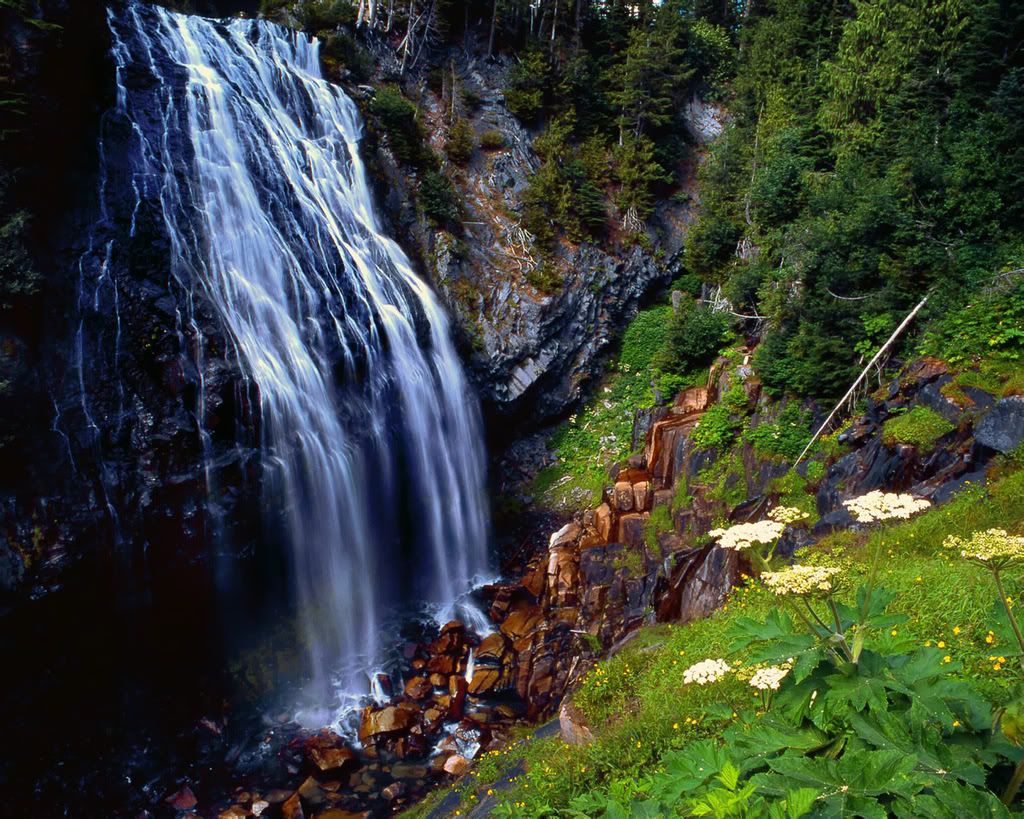 1280_1024_nature_scene_wallpaper-5.jpg