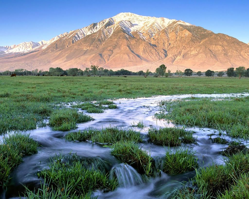 1280_1024_nature_scene_wallpaper-6.jpg