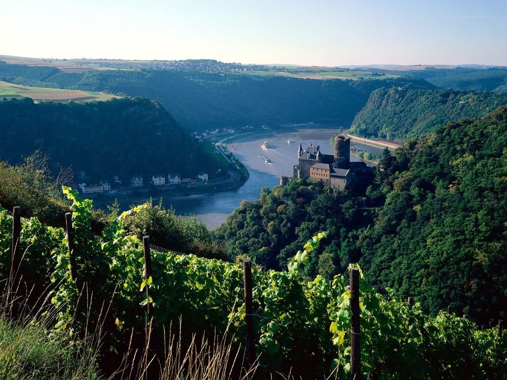BurgKatzabovetheRhineGermany.jpg