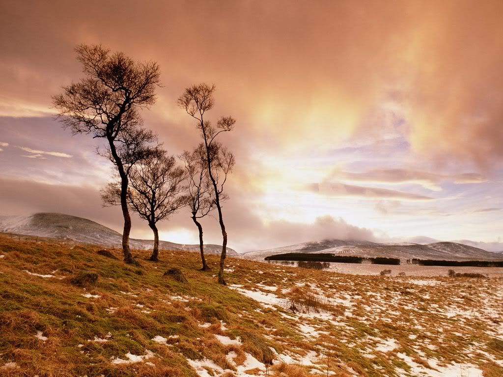 GlenEskAngusTaysideScotland.jpg