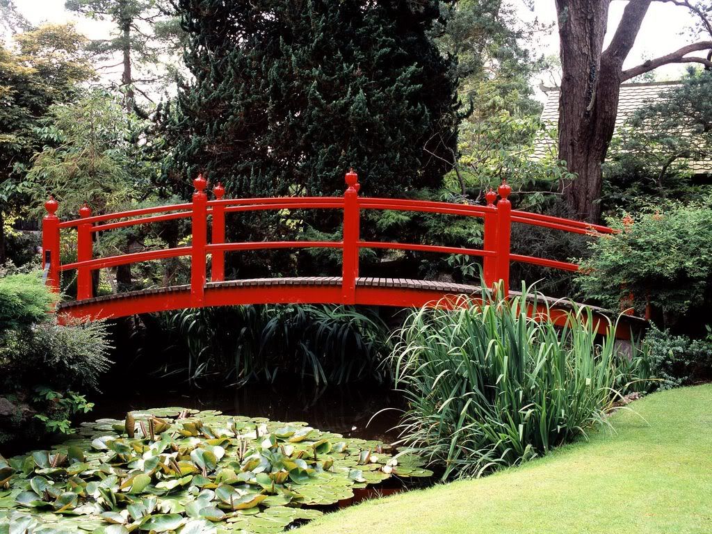 JapaneseGardenCountyKildareIreland.jpg