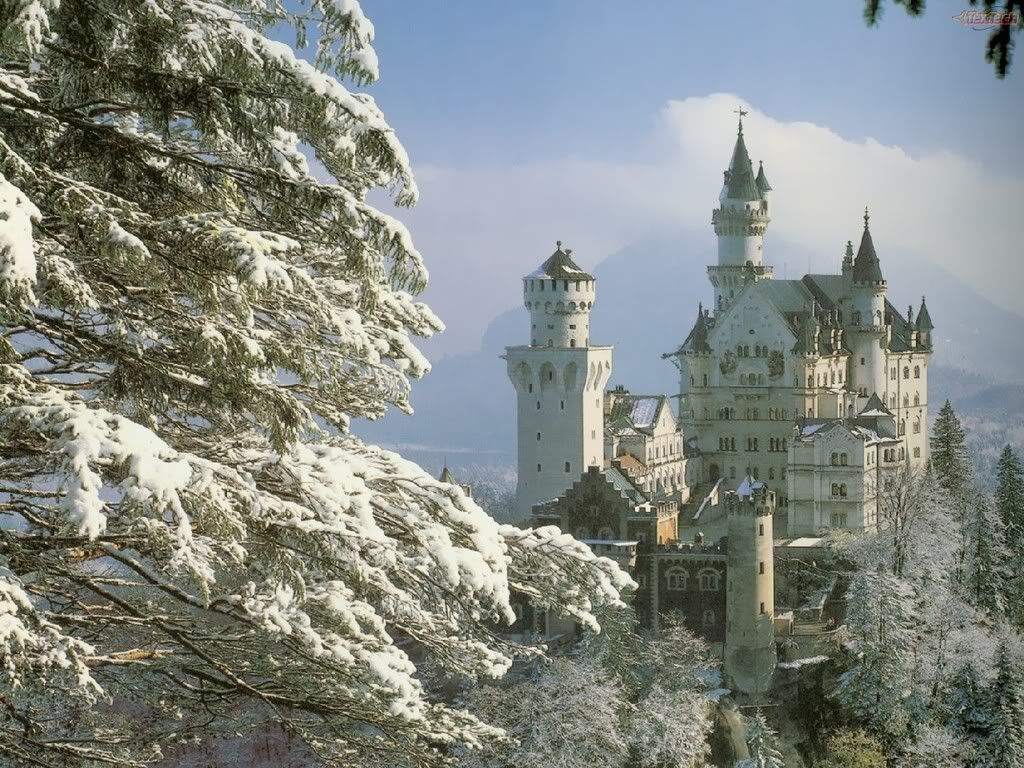 NeuschwansteinCastleBavariaGerma-11.jpg