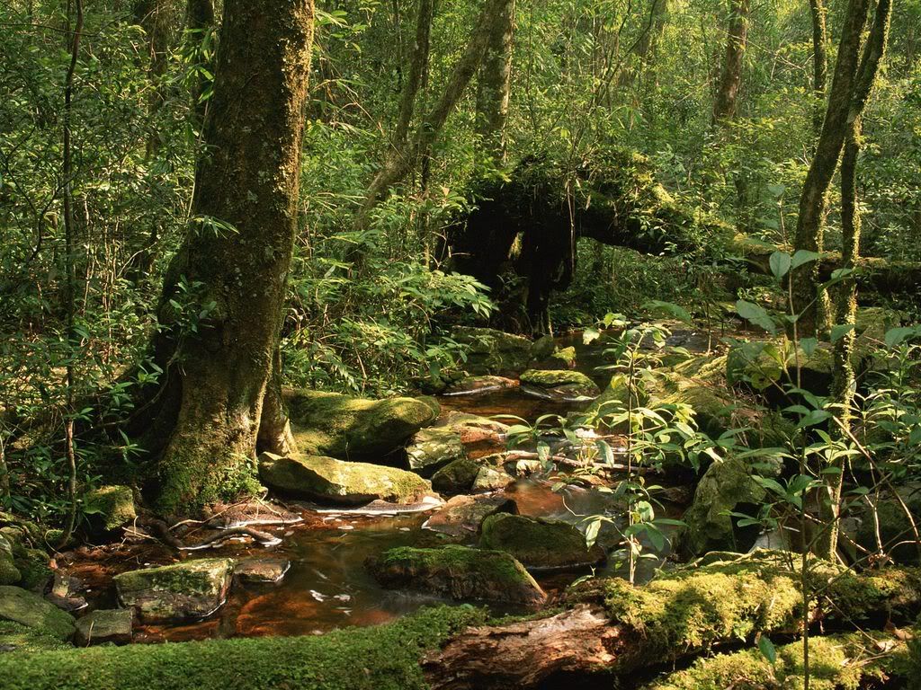 PhuLuangWildlifeSanctuaryThailand.jpg