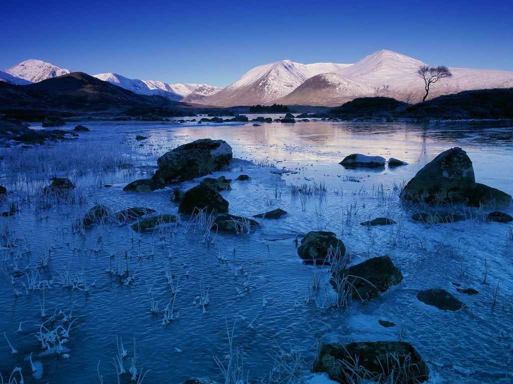 RannochMoorScotland.jpg