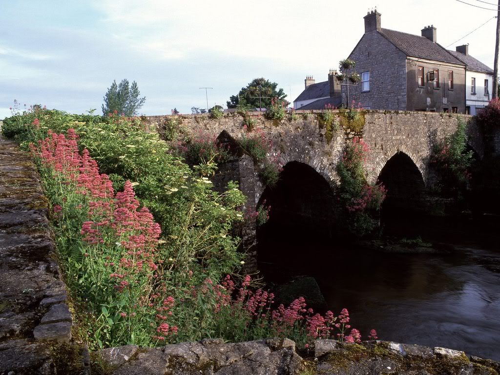RiverBoyneCountyMeathIreland.jpg