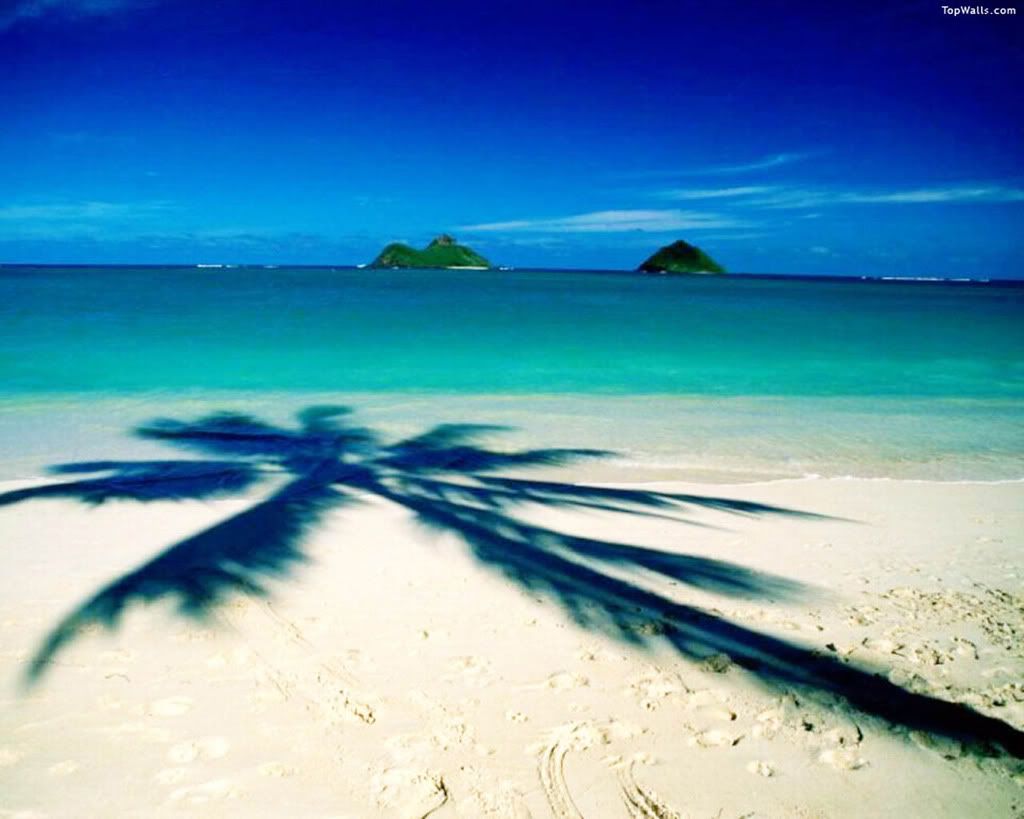 places_28.jpg