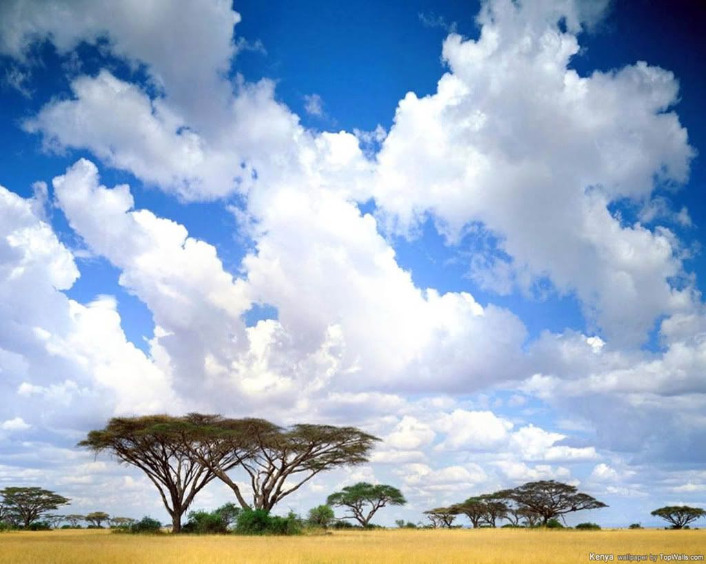 places_32.jpg