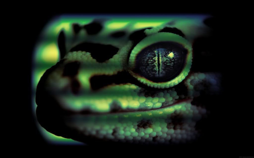 wallp_2560x1600_24.jpg