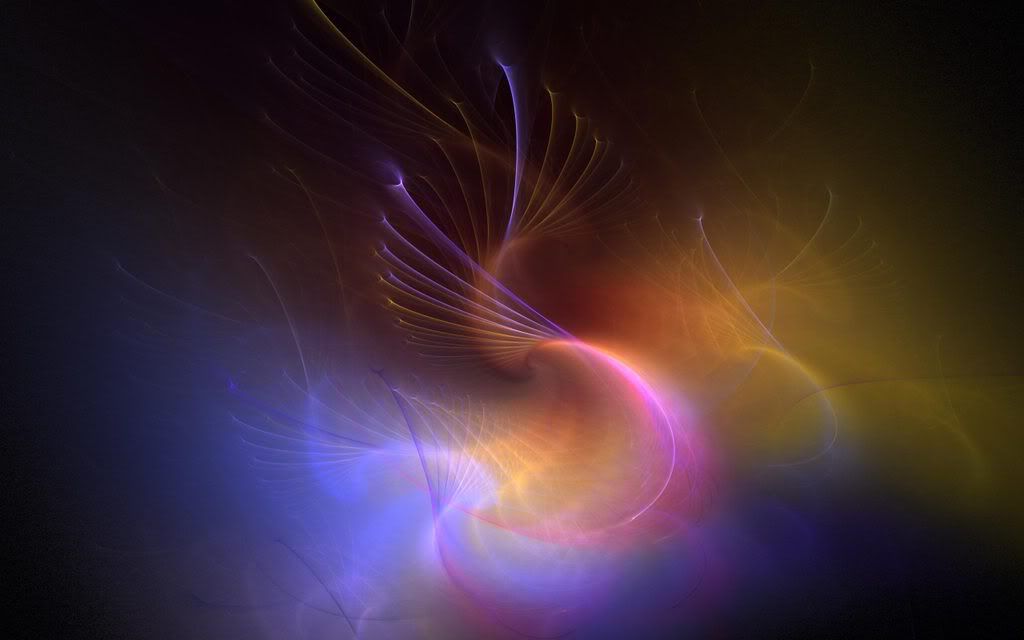wallp_2560x1600_41.jpg