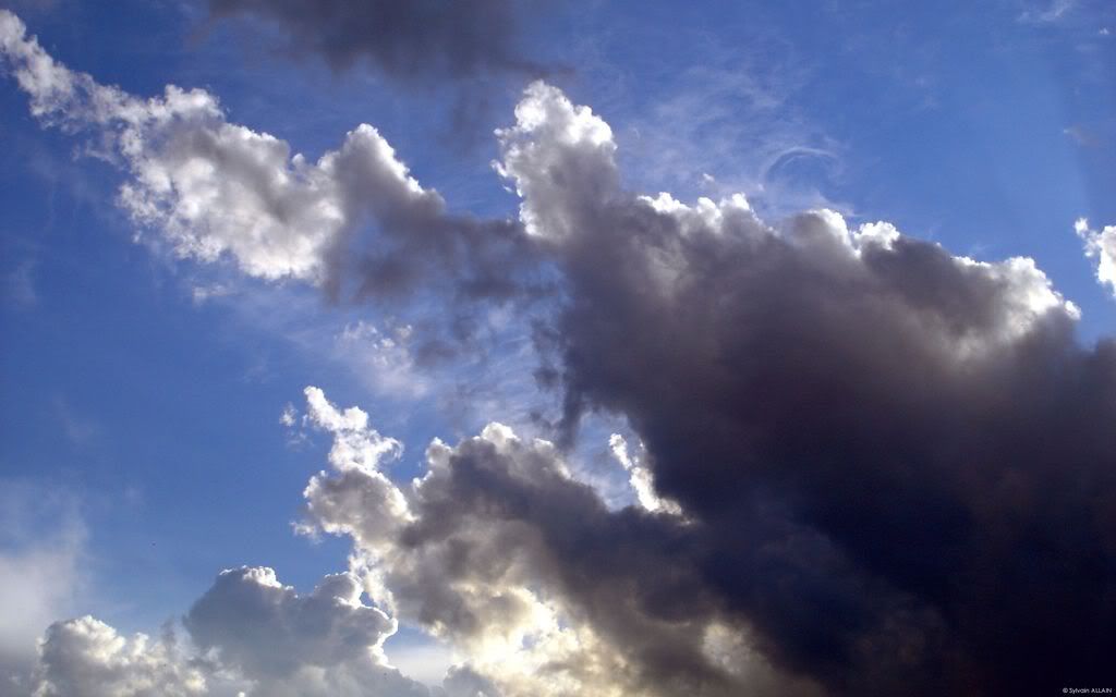 wallp_2560x1600_50.jpg