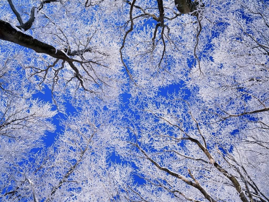 -38.jpg