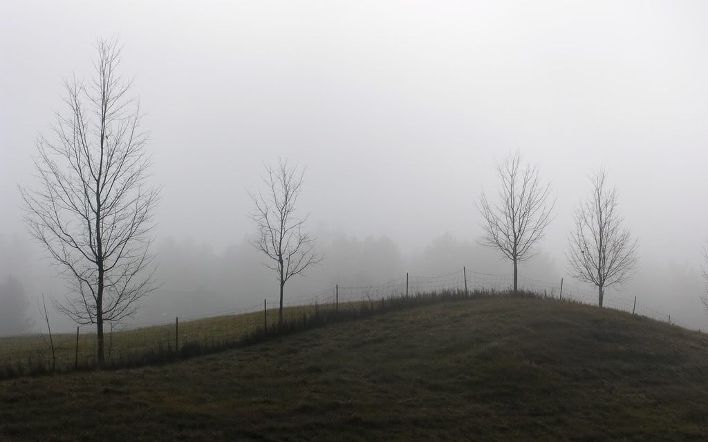 00218_dewymeadow_2560x1600.jpg