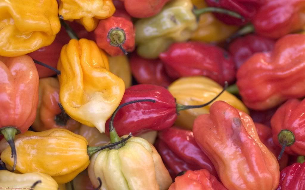00236_pepperlicious_2560x1600.jpg