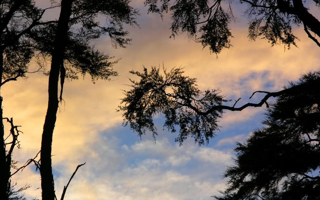 00279_barkbaysunset_2560x1600.jpg