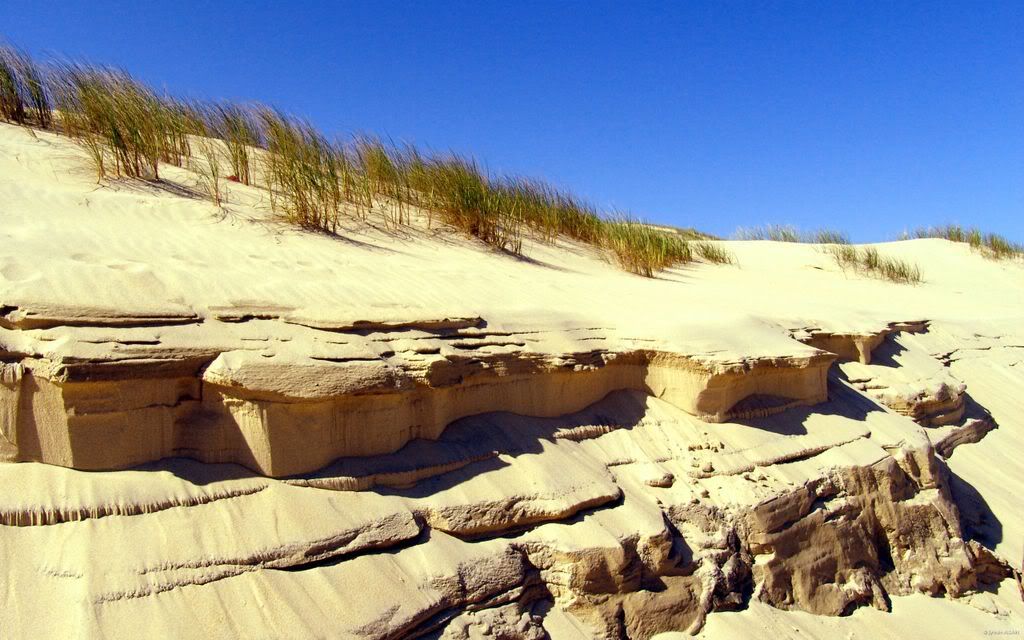 00392_dunes_2560x1600.jpg
