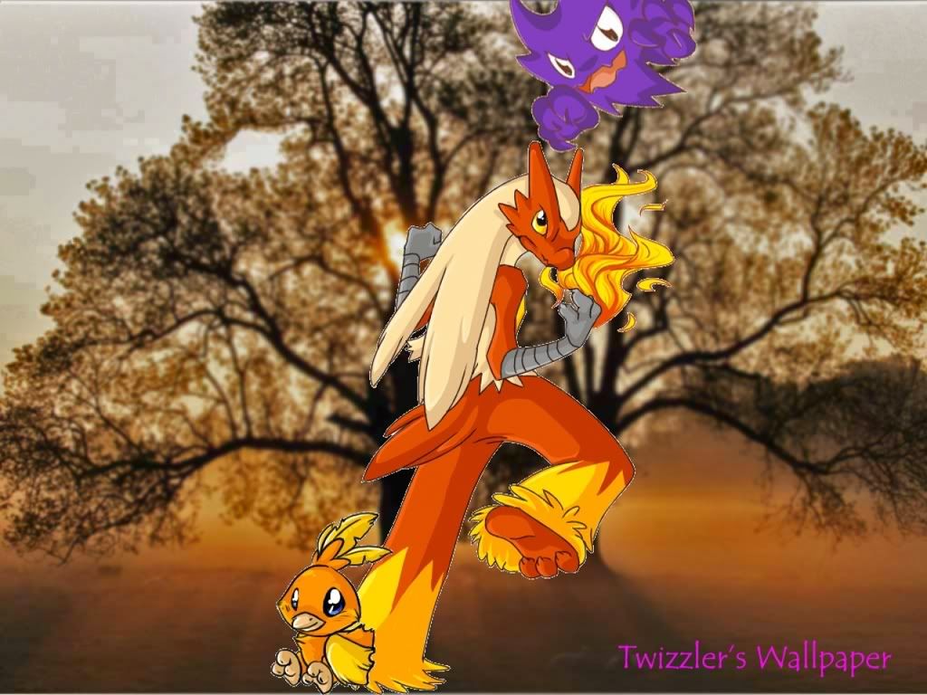 7-1.jpg