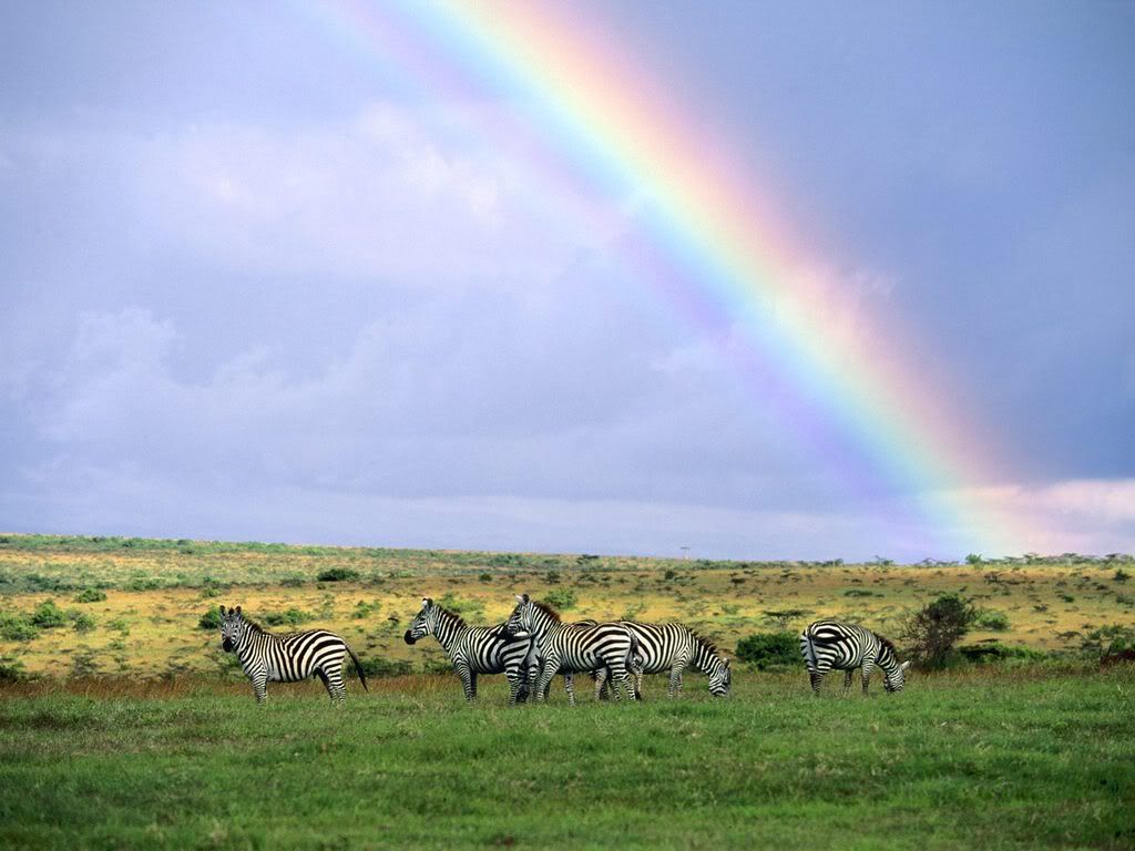 AftertheStormKenyaAfrica.jpg