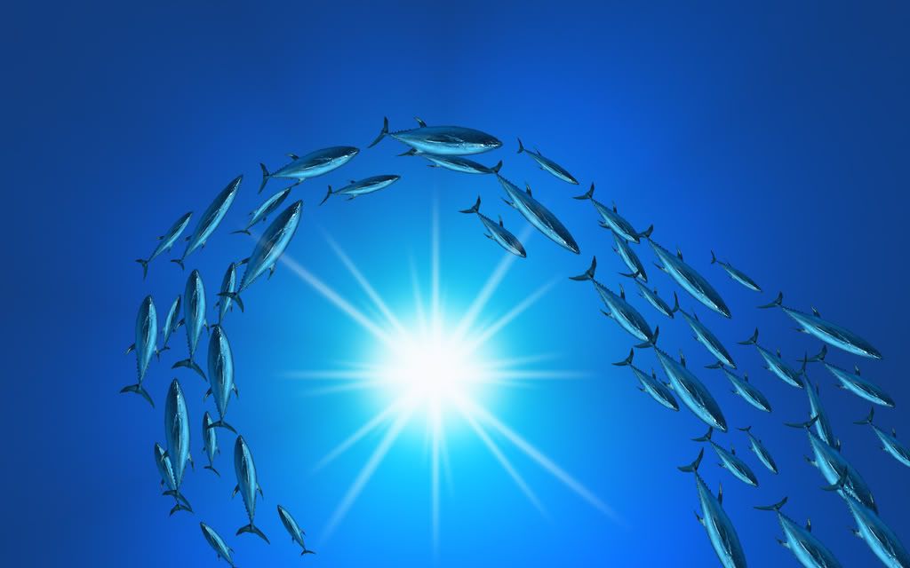 Aqua_World_by_dimage.jpg