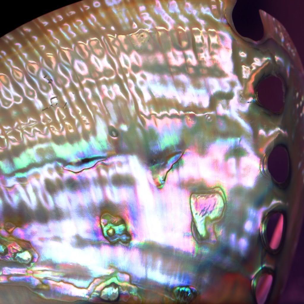 BS13041.jpg