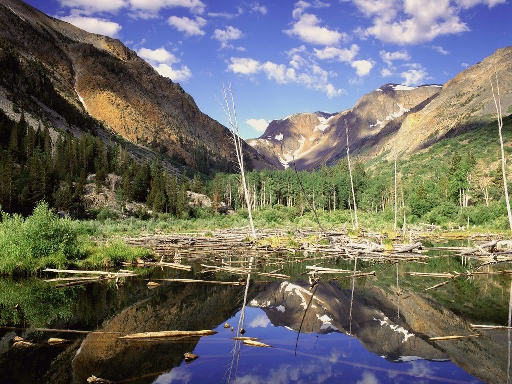 BeaverPondLundyCanyonSierraNevadaRa.jpg