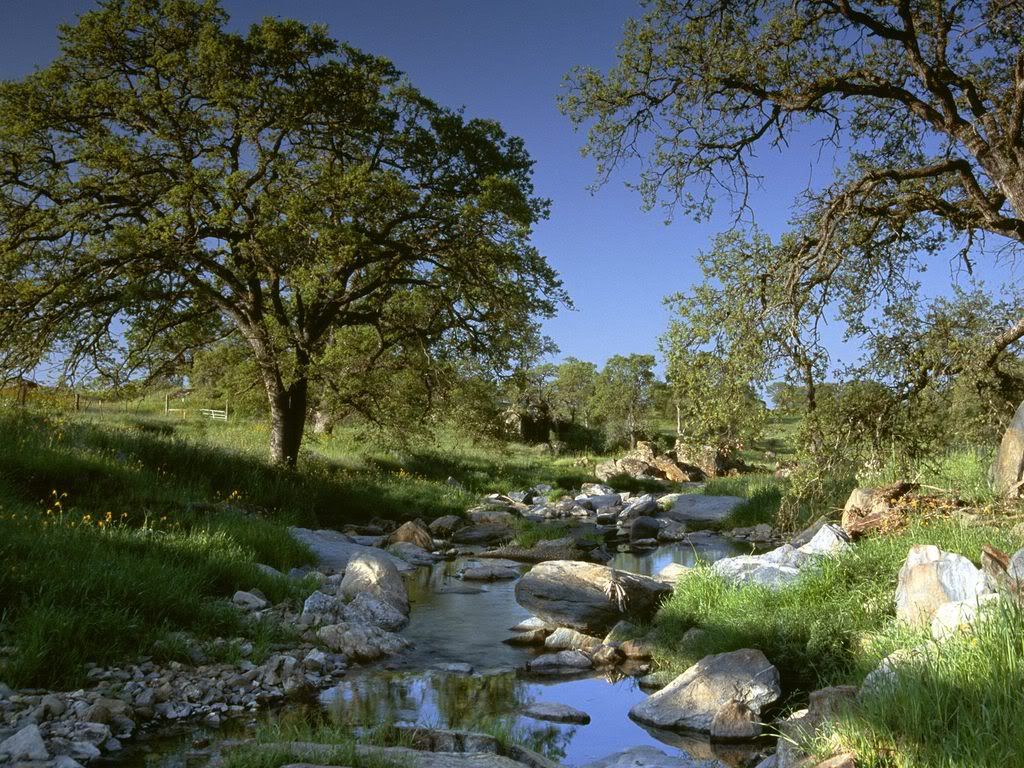 GoldCountryCalifornia.jpg