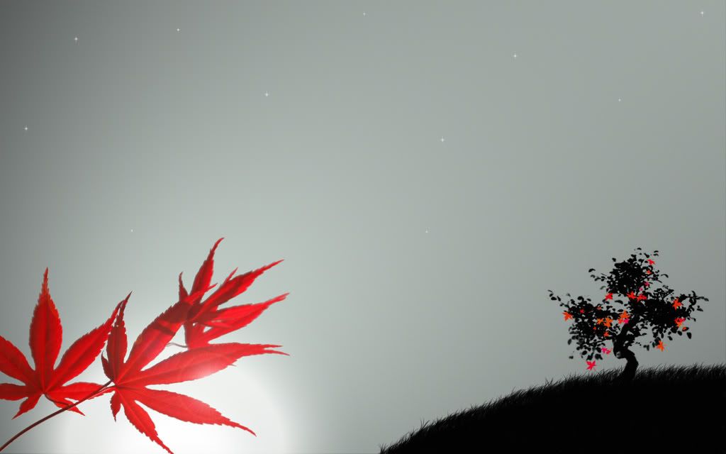 Japanese_Maple_by_dimage.jpg