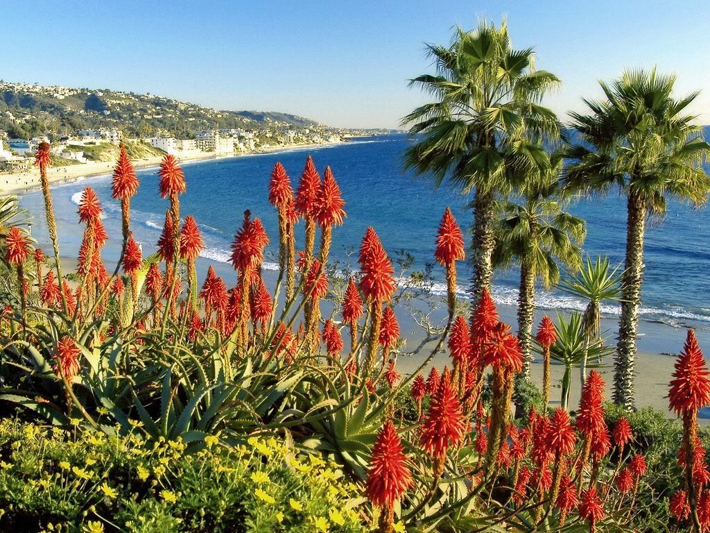 LagunaBeachLandscapeCalifornia.jpg