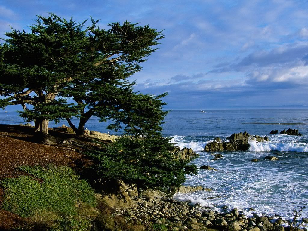 PacificGroveCoastlineCalifornia.jpg