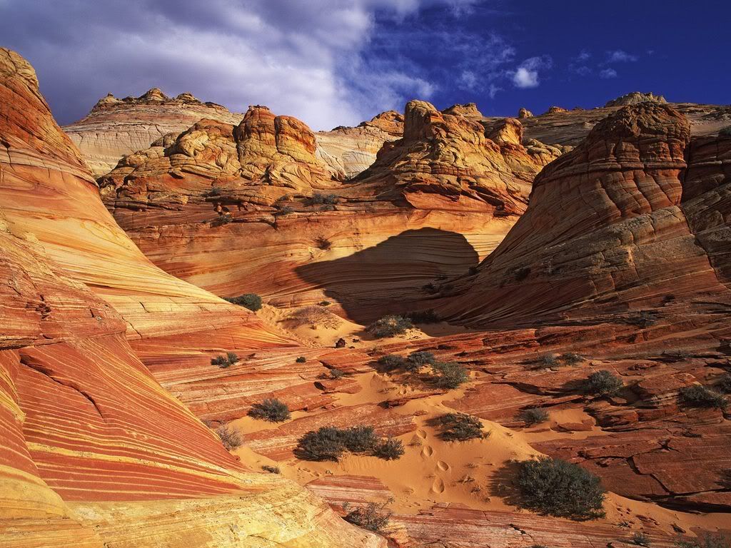 SlickrockFormationPariaCanyon-Vermi.jpg