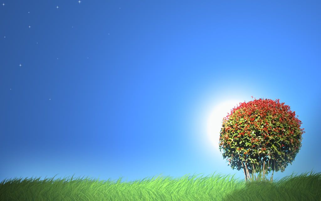Sunset_by_dimage.jpg