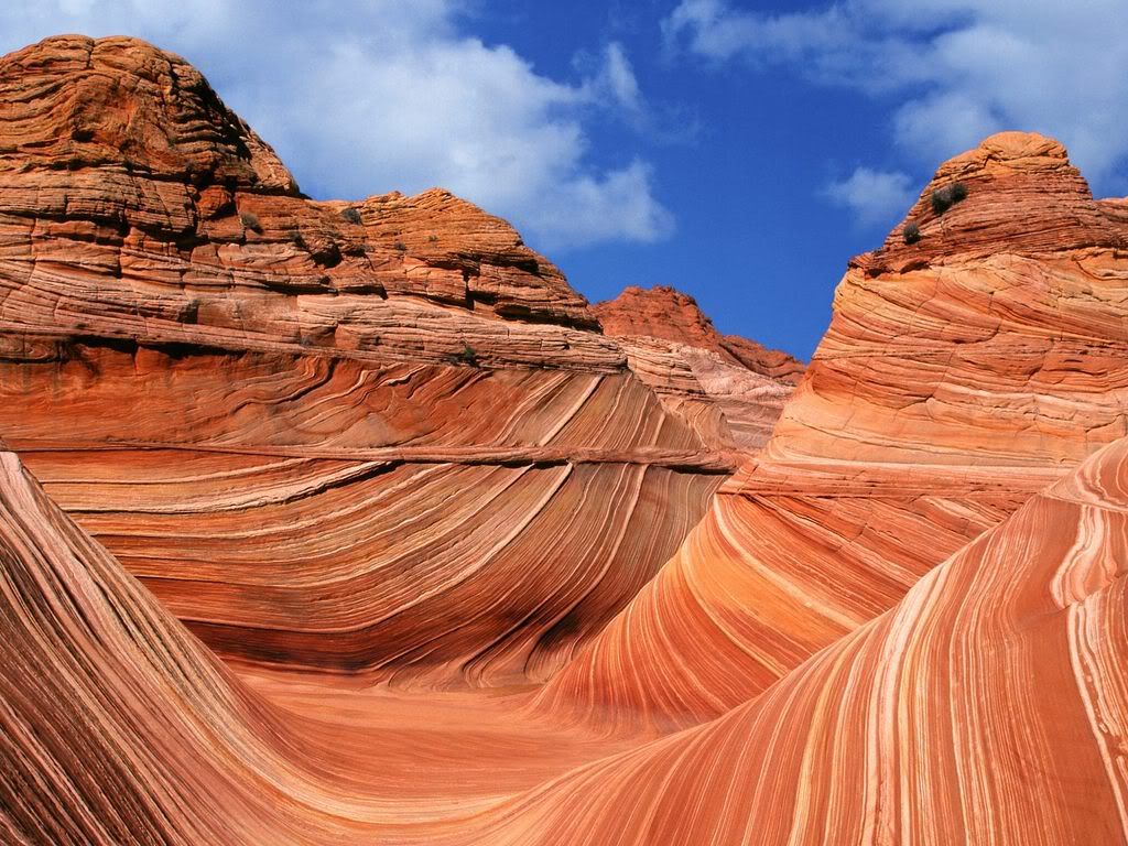TheWavePariaCanyon-VermilionCliffsW.jpg