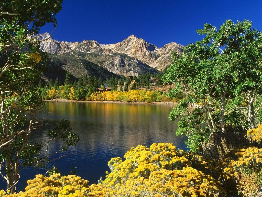 TwinLakesToiyabeNationalForestCalif.jpg