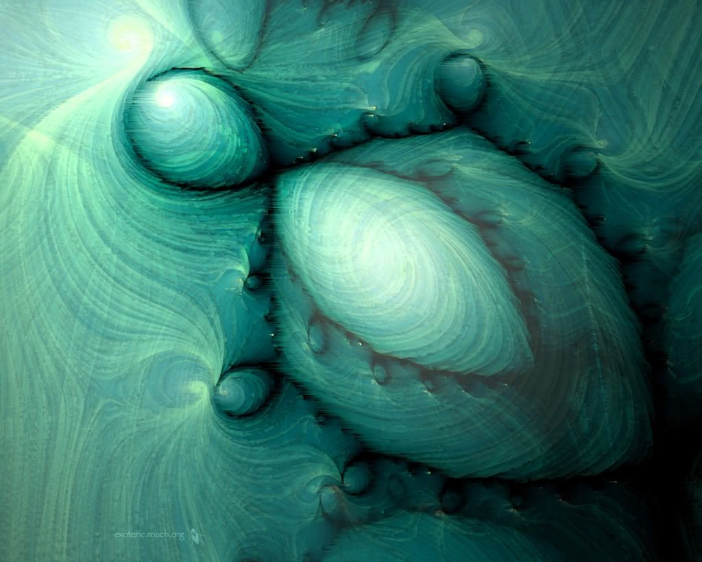 galactic-turtlef-12.jpg