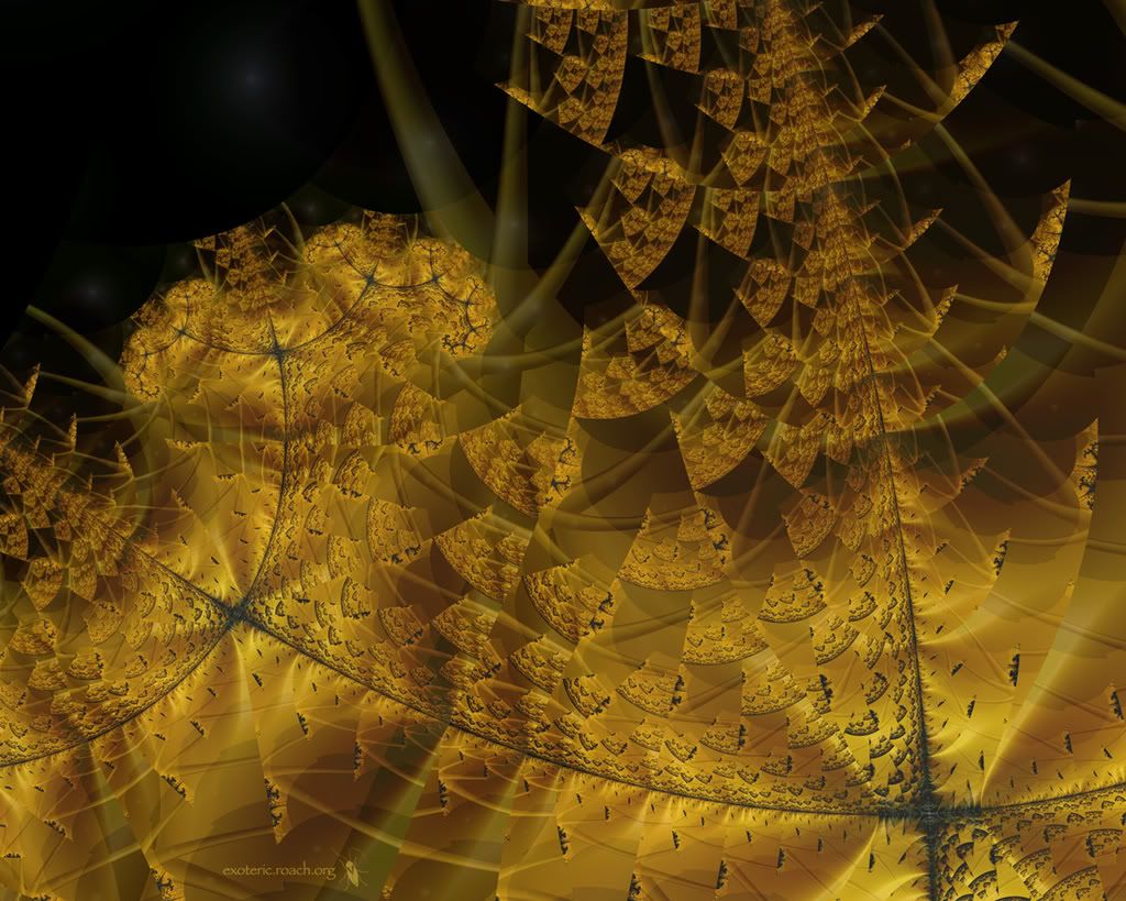 goldenrod-12.jpg