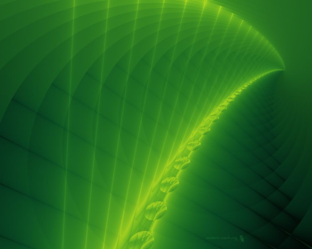 green-spine-12.jpg