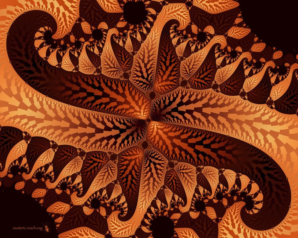 heliograph-12.jpg