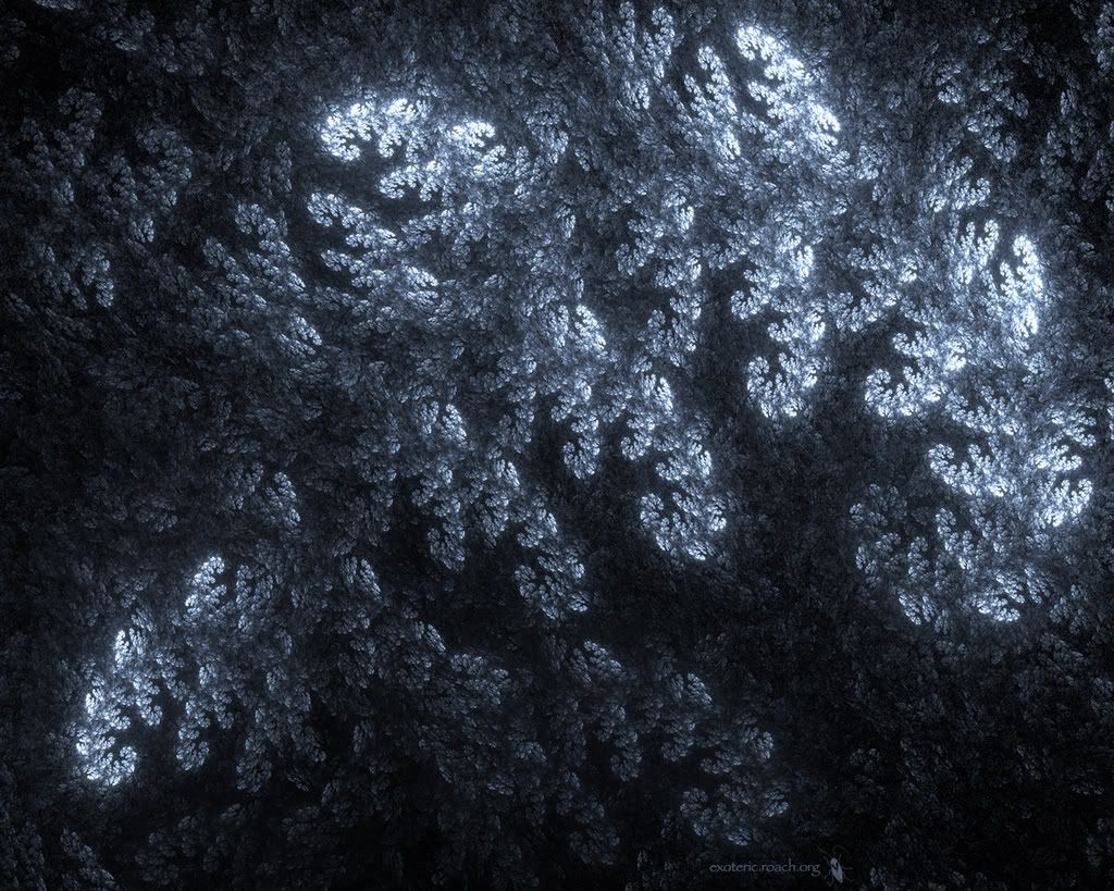 holy-dark-12.jpg