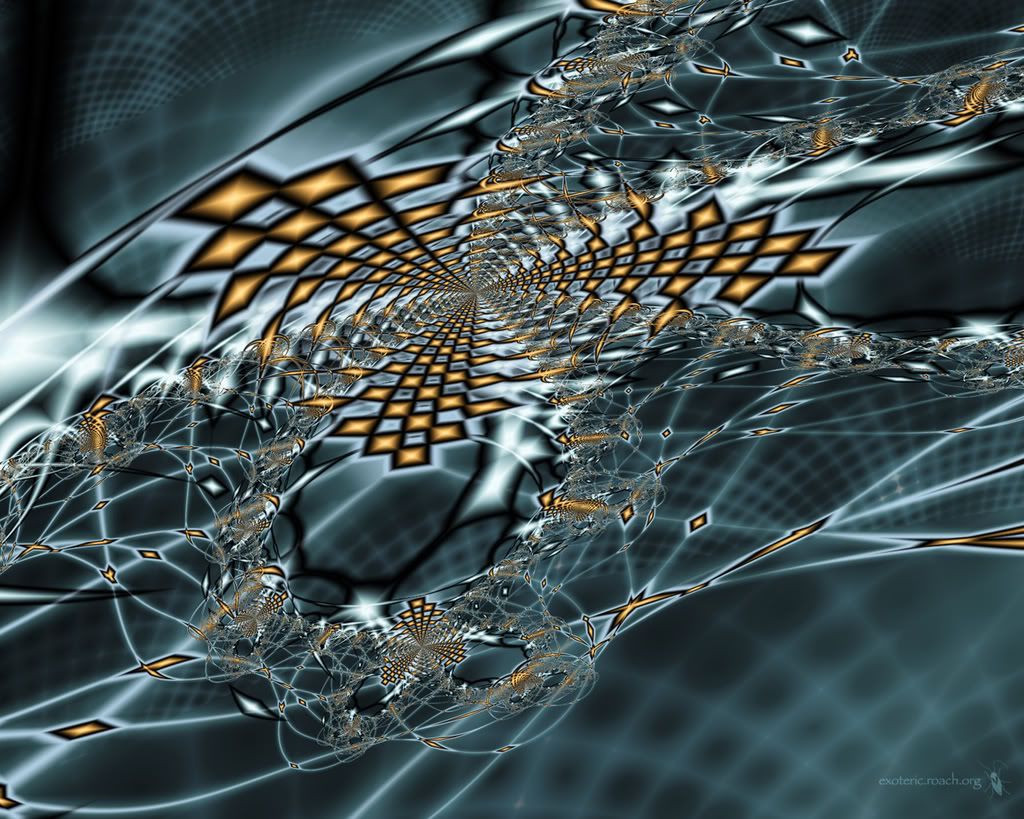 if-spiders-12.jpg