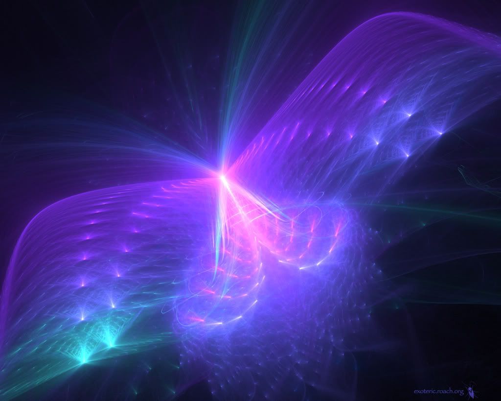 jewelled-moth-12.jpg