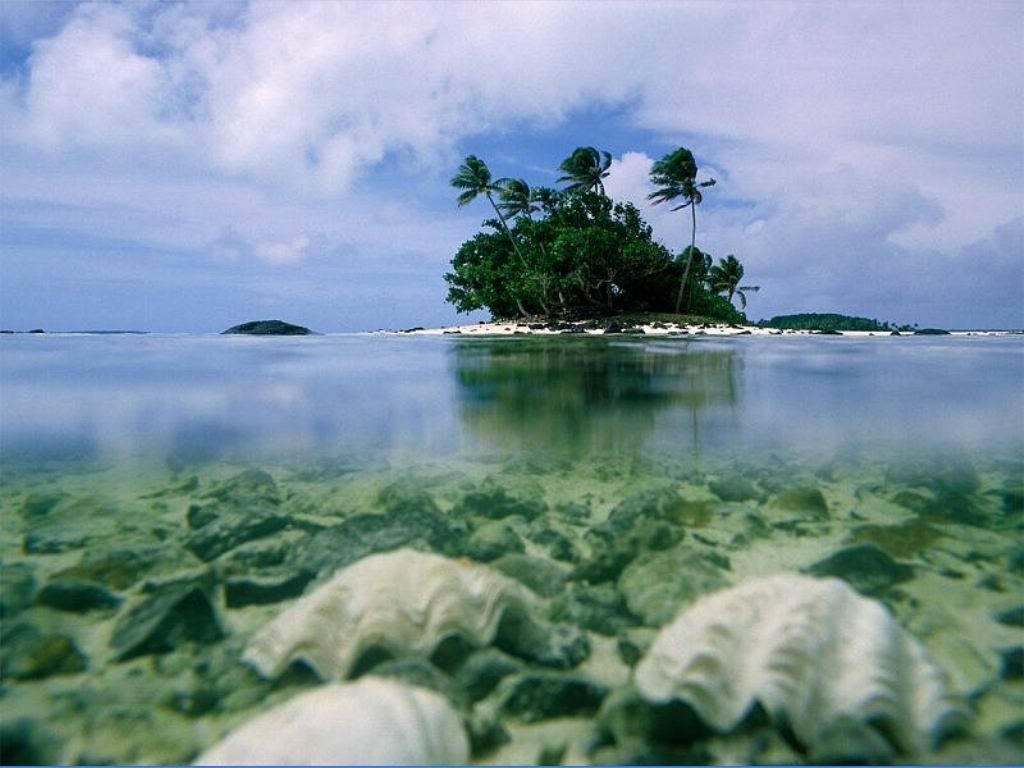 seashells001.jpg