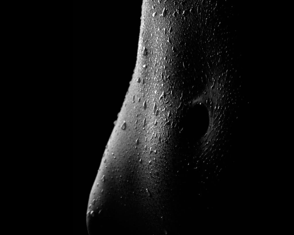 digows_black_093.jpg