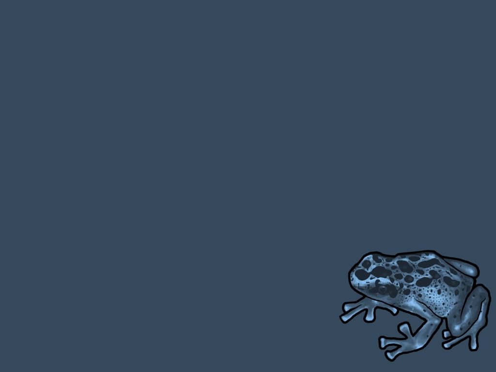 digows_intotheblue_184.jpg