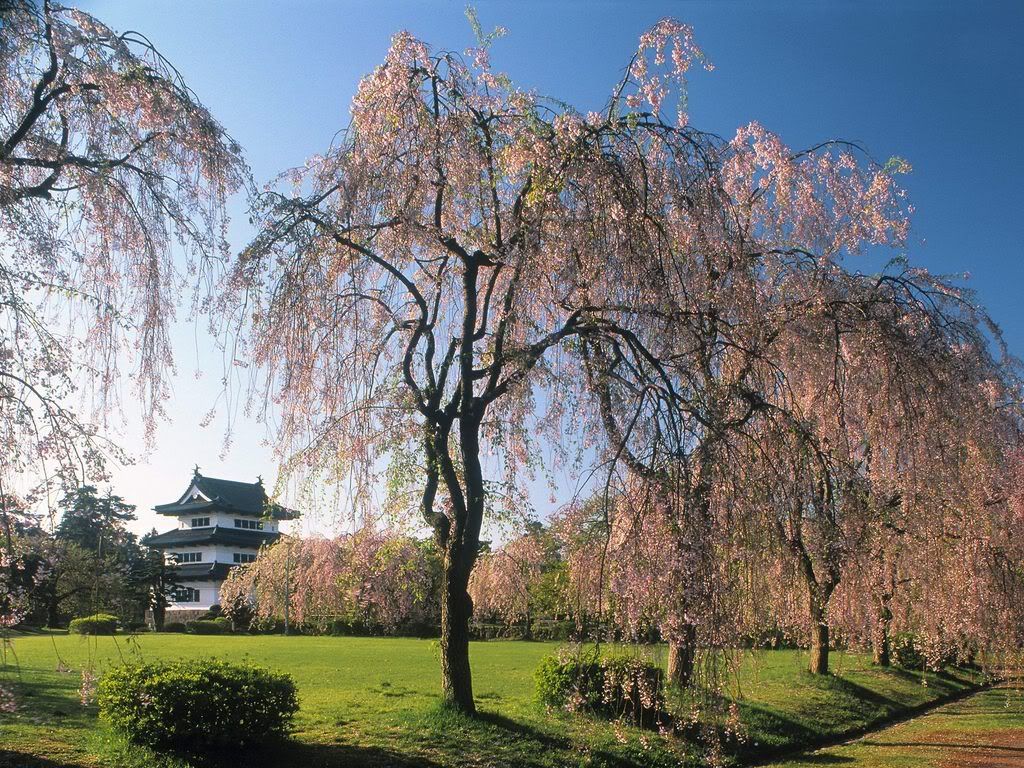 CastleHirosakiJapan.jpg
