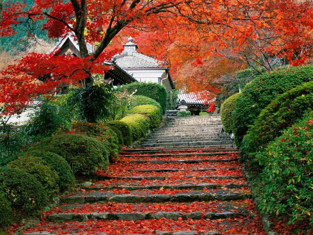 GardenStaircaseKyotoJapan.jpg