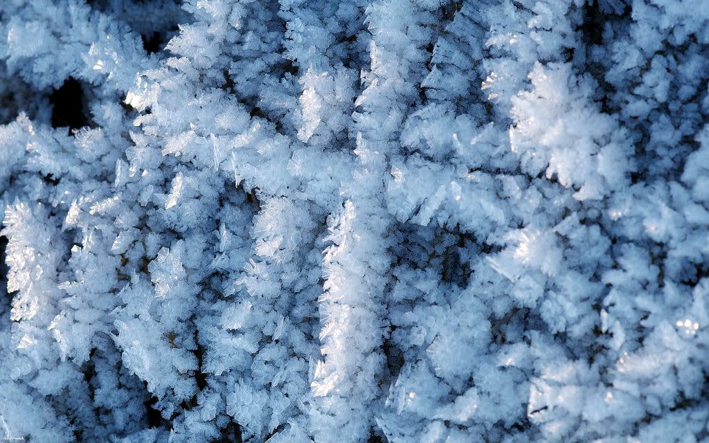 Ice_2560x1600_by_hermik.jpg