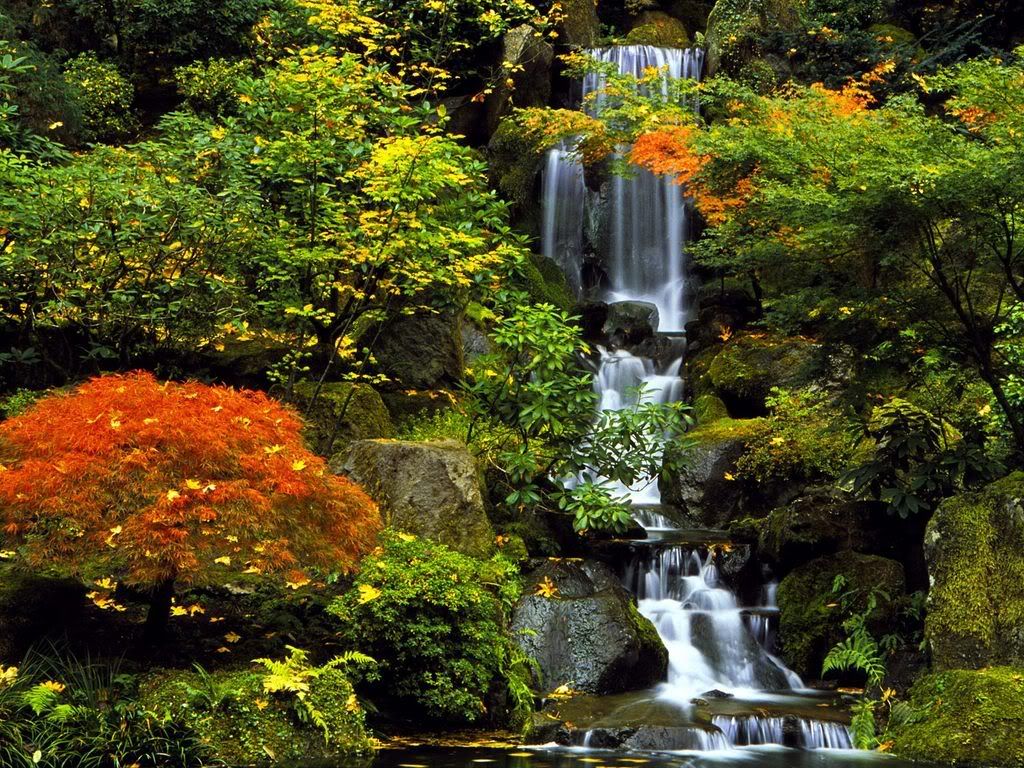 JapaneseGardenPortlandOregon.jpg