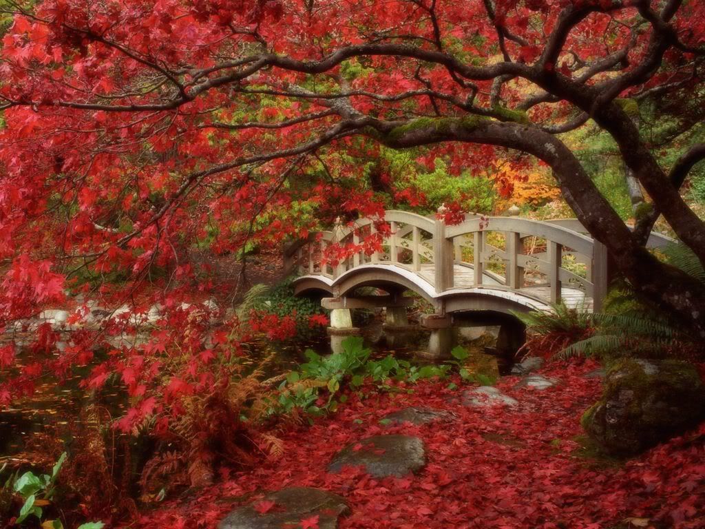 JapaneseGardenRoyalRoadsUniversityB.jpg